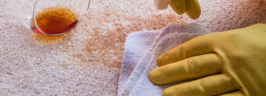 Australian Carpet Cleaning Guide Cleaning Guide Cleaning Carpet