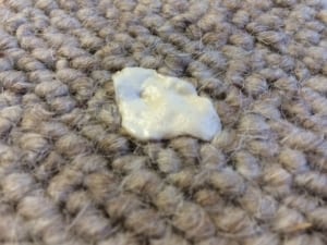 How To Get Chewing Gum Out Of Your Carpet