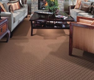 How To Prepare For Professional Carpet Cleaning