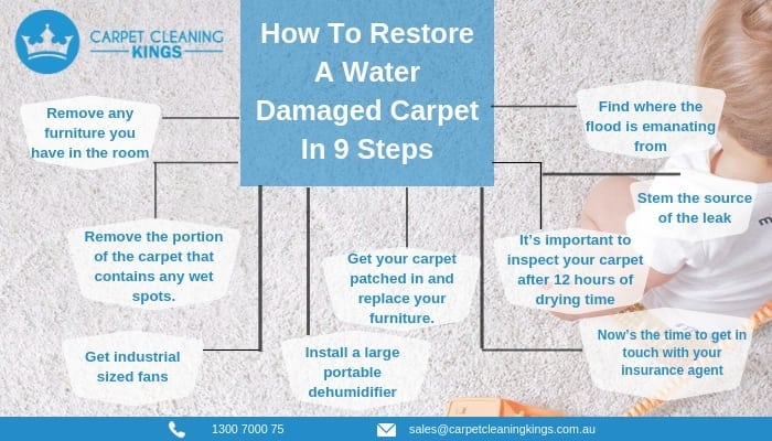 How To Restore A Water Damaged Carpet In 9 Steps (1)