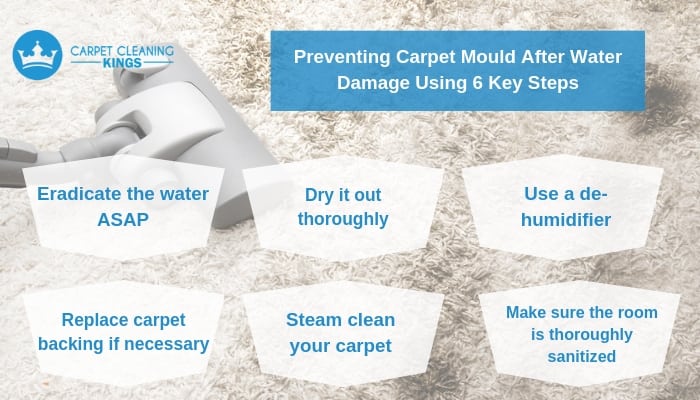 Preventing Carpet Mould After Water Damage Using 6 Key Steps (1)