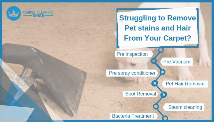 Struggling to Remove Pet stains and Hair From Your Carpet_