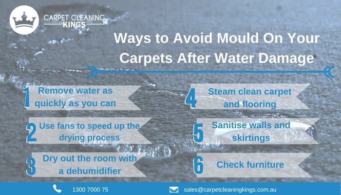 Ways to Avoid Mould On Your Carpets After Water Damage