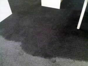 over wetting carpet