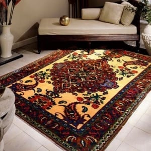 Persian And Oriental Rugs