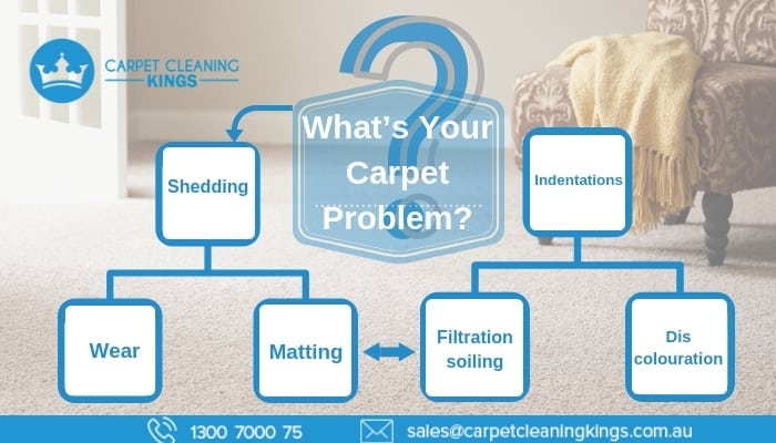 What’s Your Carpet Problem_