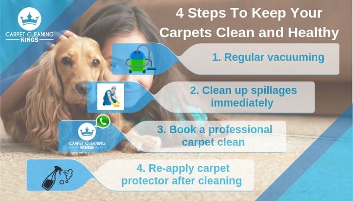 4 Steps To Keep Your Carpets Clean and Healthy