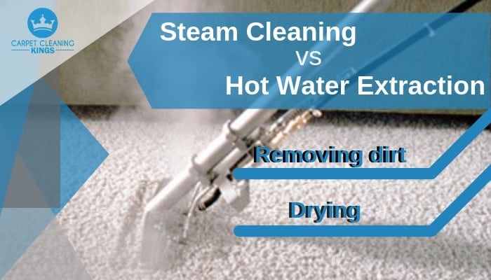 Steam Cleaning vs Hot Water Extraction
