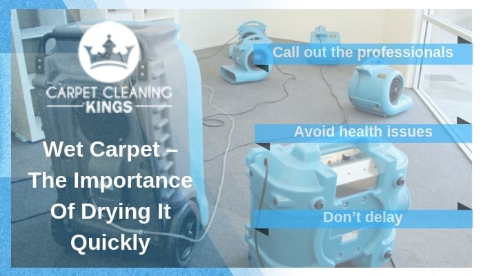 https://carpetcleaningkings.com.au/wp-content/uploads/2018/03/Wet-Carpet-%E2%80%93-The-Importance-Of-Drying-It-Quickly.jpg