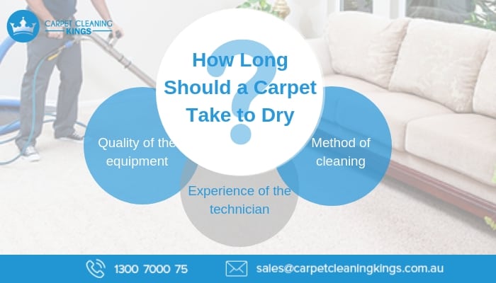 How Long Should a Carpet Take to Dry