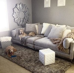 comfy sofa