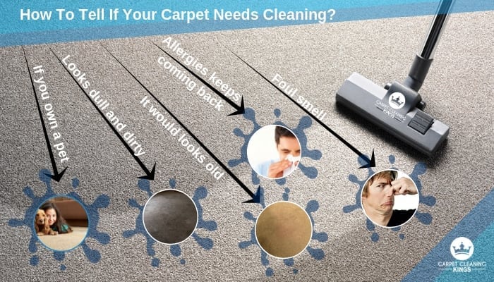 Signs You Need to Have Your Carpet Cleaned