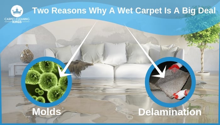 Two Reasons Why A Wet Carpet Is A Big Deal